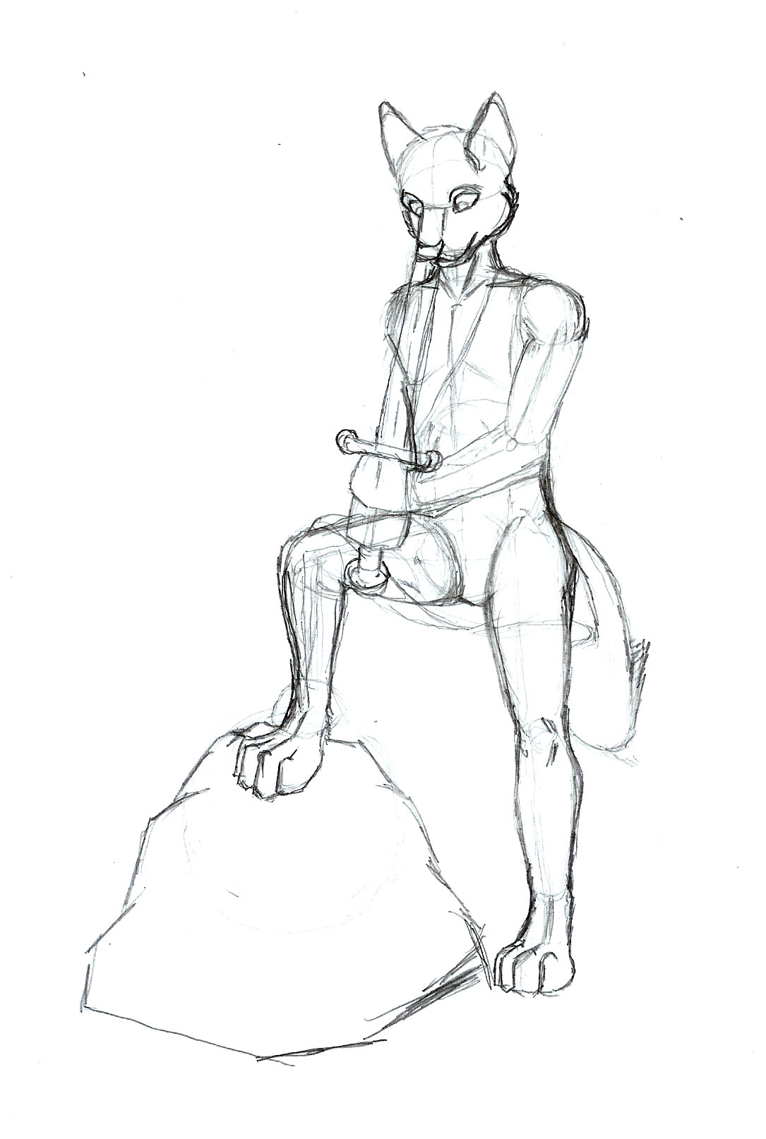 Camstone the Highlander Fox