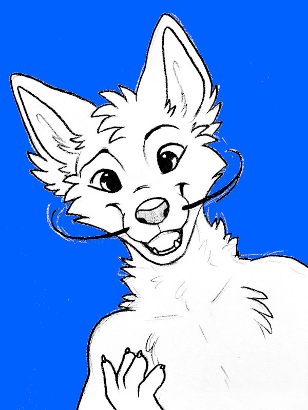 Camstone by Kitchiki